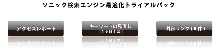 ソニック検索エンジン最適化トライアルパック:アクセスレポート キーワードの見直し(1ヶ月 1回) 外部リンク(8件)